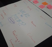 50597975_233021990913979_941301722834272256_n